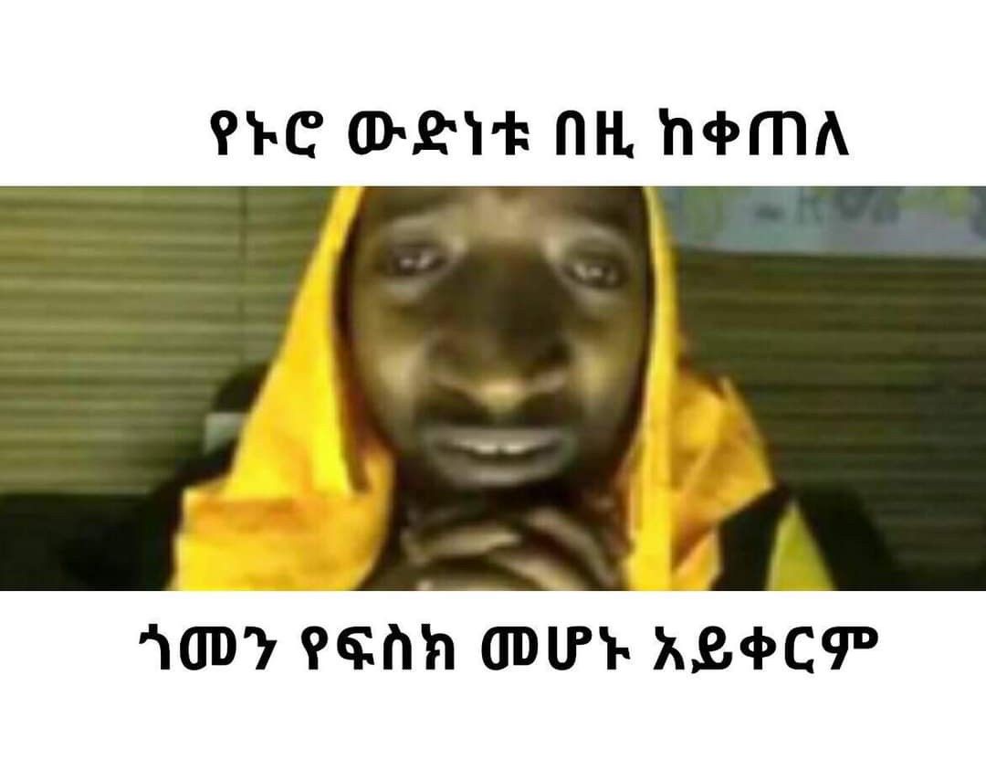 Ethiopia Animal Humor a dog wearing a yellow hoodie